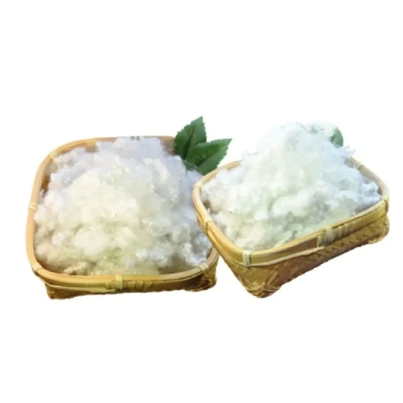 பாலியஸ்டர் ஃபைபரின் முக்கிய பயன்பாடுகள்